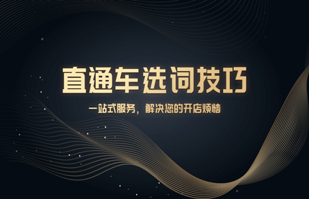 B178：20230411 直通车选词技巧