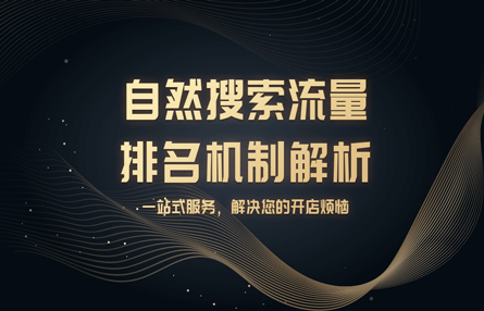 B222：20230809 自然搜索流量排名机制解析