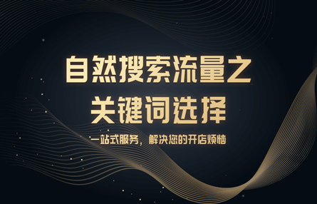 B225：20230816 自然搜索流量之关键词选择