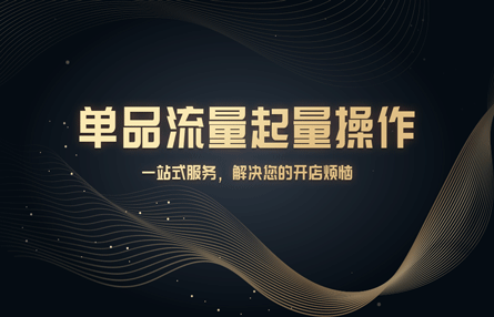 B246：20231012 单品流量起量操作