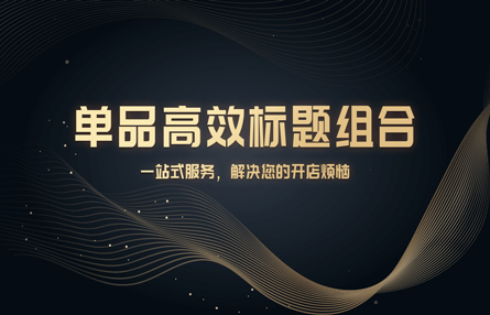 B256：20231108 单品高效标题组合