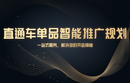 B267：20231205 直通车单品智能推广规划