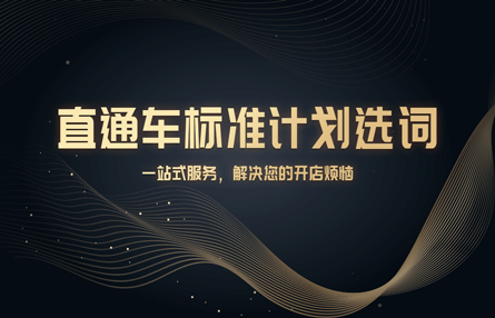 B273：20231219 直通车标准计划选词