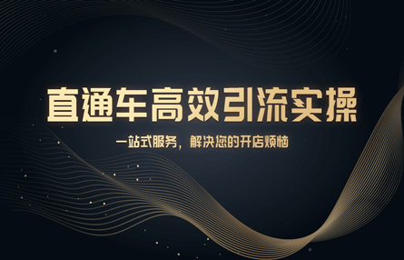 B276：20231229 直通车高效引流实操