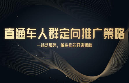 B281：20240112 直通车人群定向推广策略