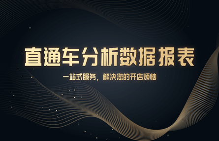 B284：20240124 直通车分析数据报表