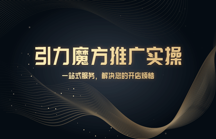 B287：20240130 引力魔方推广实操