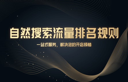 B298：20240403 自然搜索流量排名规则
