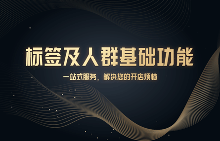 B320：20240628 标签及人群基础功能
