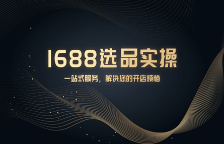 B339：20240903 1688选品实操