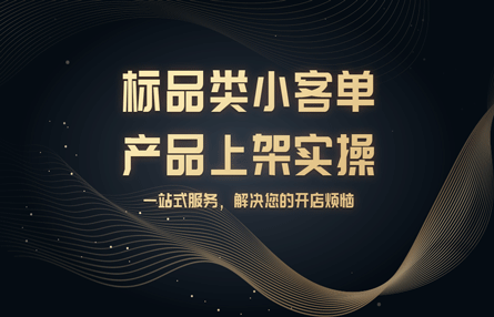 B363：20241213 标品类小客单产品上架实操