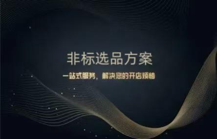 B411：20250819 非标选品方案