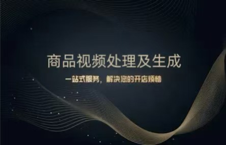B415:：20250828 商品视频处理及生成
