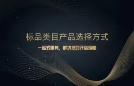 B448：20250417 标品类目产品选择方式