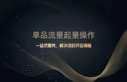 B454：20260522 单品流量起量操作